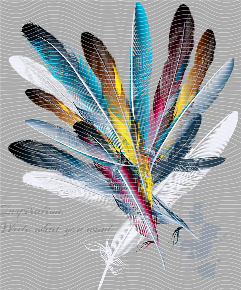 latest edition-KNY 25